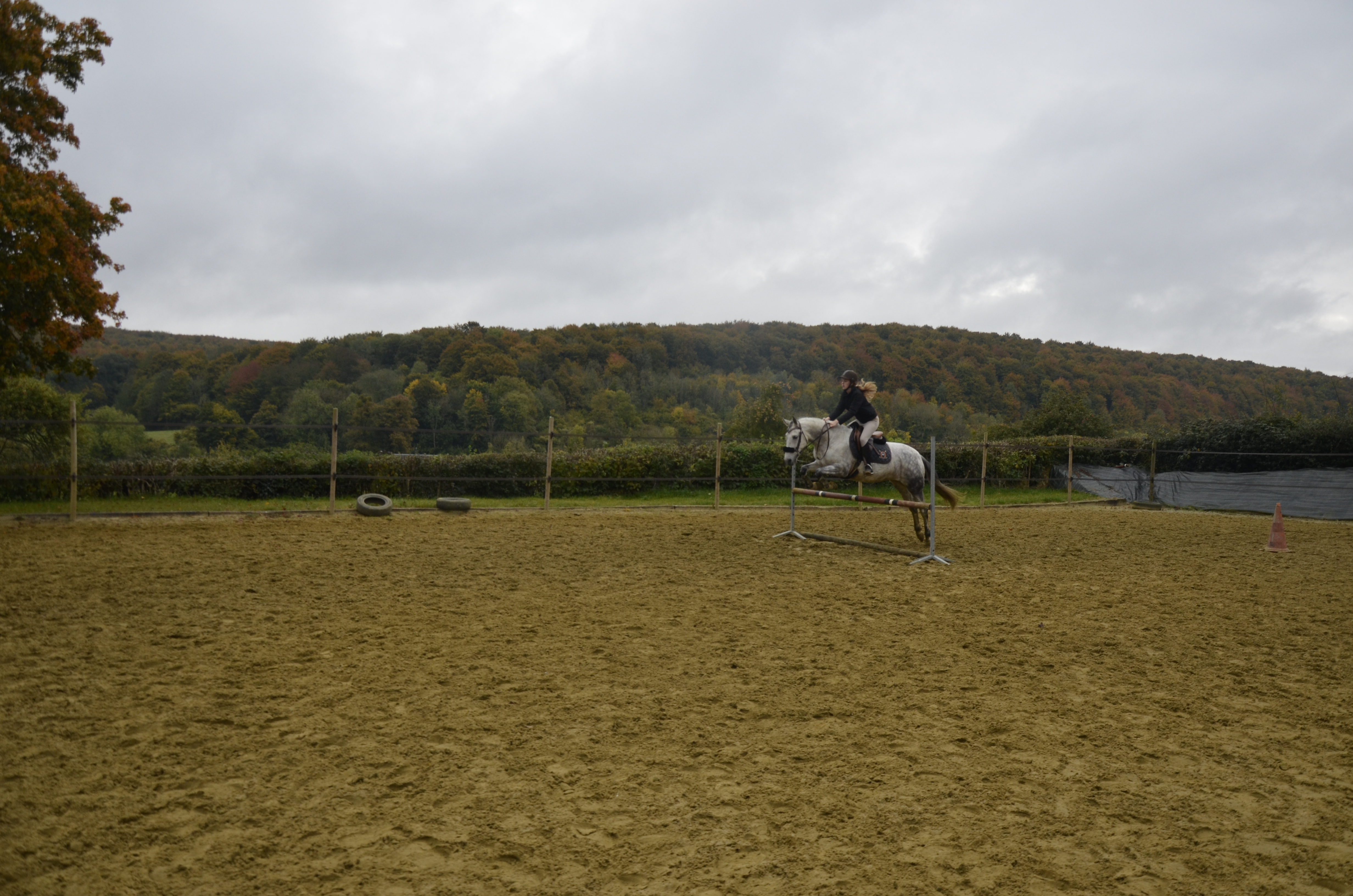 carrière, saut d'obstacles